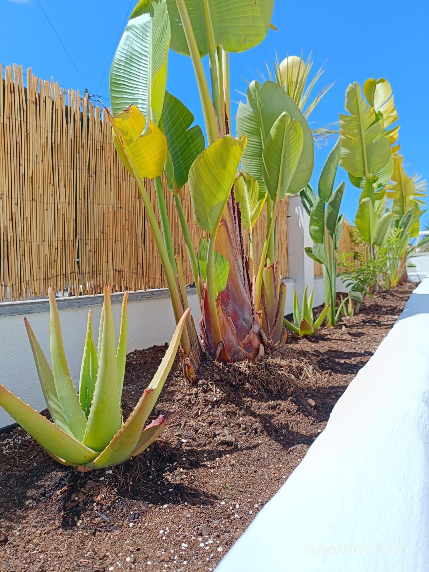 Bed and Breakfast Supertubos House Peniche Atouguia Da Baleia Esterno foto